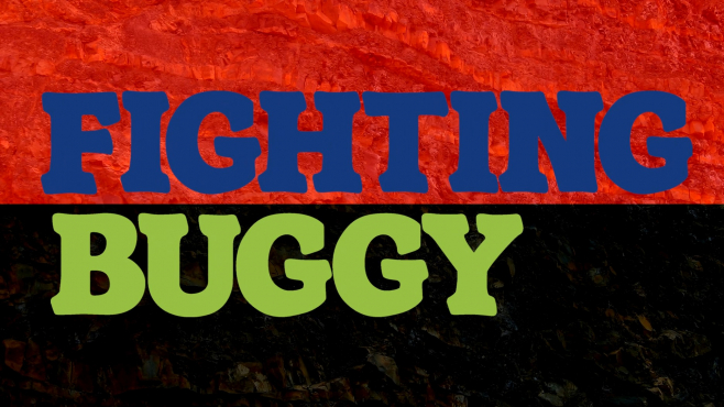 Fighting Buggy 2014