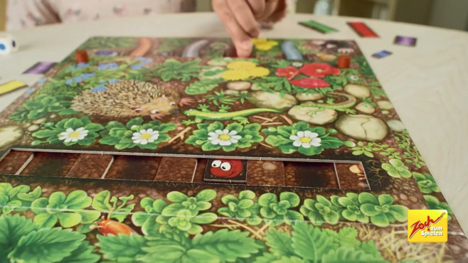 Da ist der Wurm drin und ZZHK Da ist der Wurm drin und ZZHK