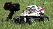 Art.Nr.: 300058662 / Art.bezeichnung: 1:10 RC Comical Grasshopper WR-02CB